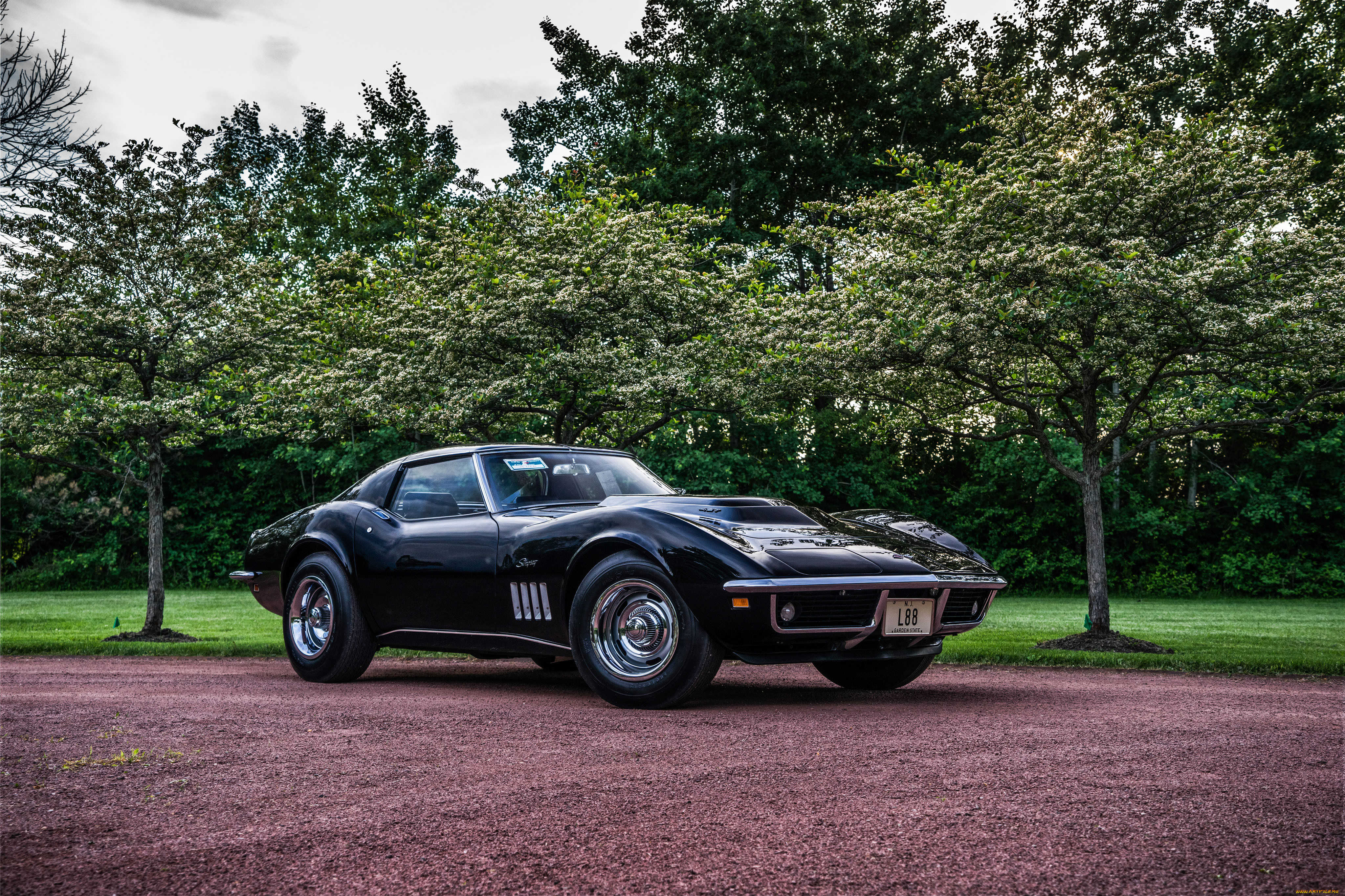 , corvette